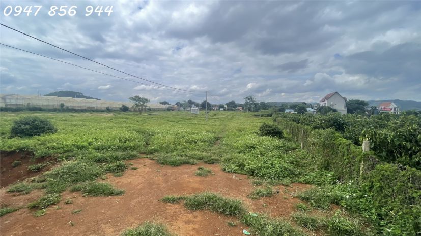 Đón sóng lên đô thị loại iii  sở hữu ngay lô đất vàng gần 7726943