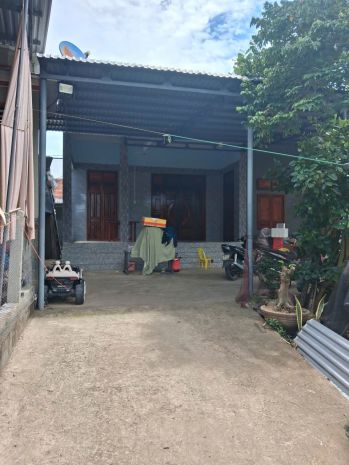 Vườn châu ổ bình sơn, 520m2 thổ cư 322m2 + 2 nhà cấp 4 giá 7727256
