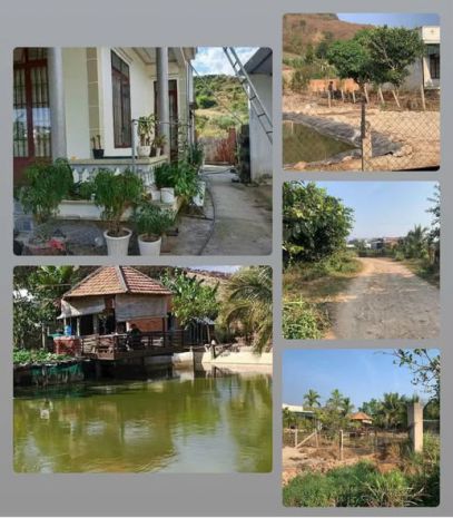Hạ giá  bán gấp nhà vườn tân văn, lâm hà 7728244
