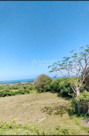 Cần bán đất diện tích lớn,  phù hợp homestay, nghỉ dưỡng- 7728263