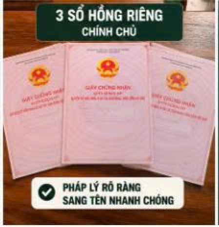 Quỹ đất hiếm an phú đông q.12  1.169m²  ngang 31m chỉ 62 7729016