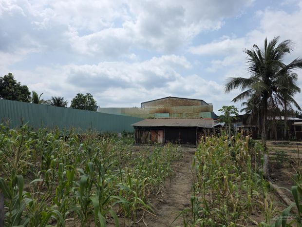 Bán 745m² full thổ cư, mt 18m thích thiện hòa, bình chánh, 7730183