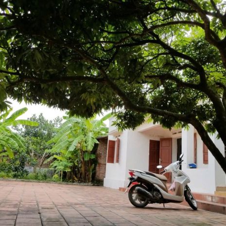 Cho thuê nhà và đất 730m2 làm xưởng- kho- kinh doanh tại xã 7731642