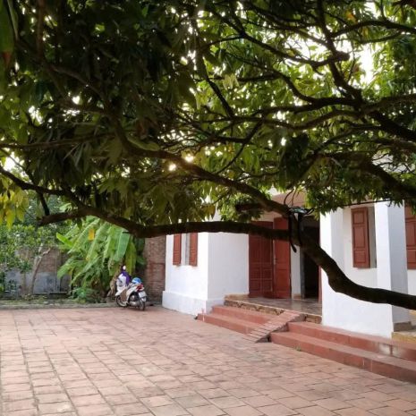 Cho thuê nhà và đất 730m2 làm xưởng- kho- kinh doanh tại xã 7731643