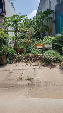 Đất đẹp- giá tốt chính chủ bán nhanh lô đất cạnh trường cơ 7733939