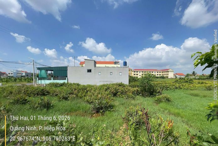 Thanh lý đất xã sông khoai, quảng yên, quảng ninh, 264m2, 7734051