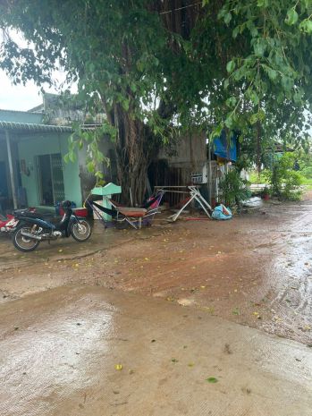 Bán nhà cấp 4 kdc ba đăng - tân hải -lagi chỉ 800 triệu gần 7735238
