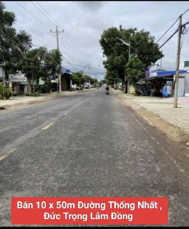 Bán 10x50m đất đường thống nhất đức trọng lâm đồng giá 6,8 7739044