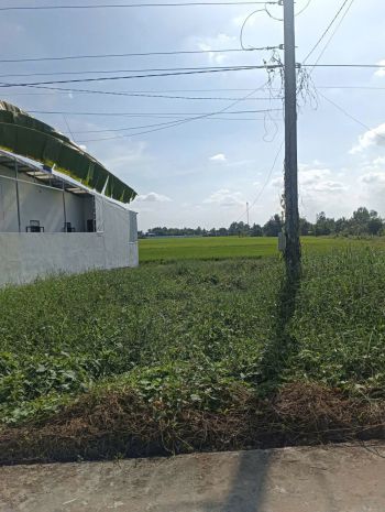 Chính chủ cần bán đất có vị trí đẹp  mong thọ b, châu 7739524