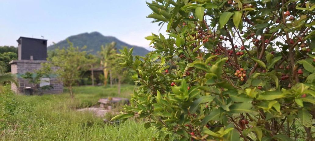 Đất đẹp  giá tốt - cần bán nhanh lô đất tại đường hương lộ 7745675