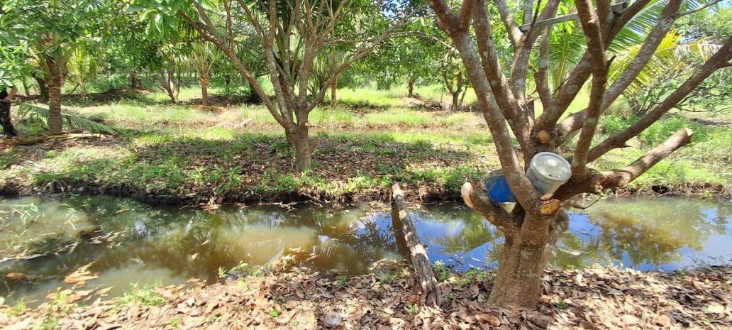 Đất đẹp  giá tốt - cần bán nhanh lô đất tại đường hương lộ 7745680
