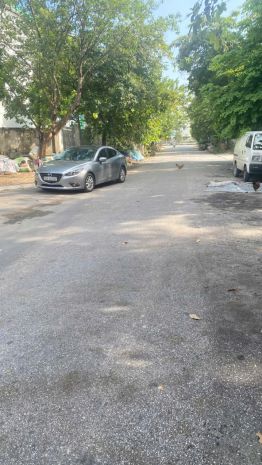 Đất đấu giá voi phục  gia lâm  lô đẹp 7980m²  mặt tiền 5m 7746373