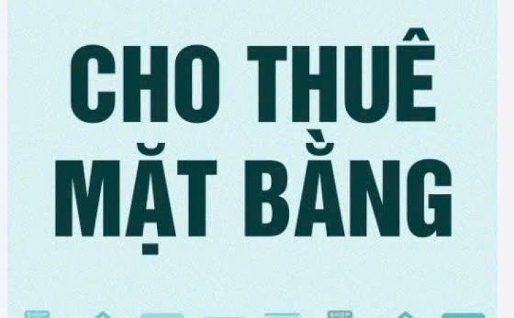 Chính chủ cho thuê 2 mặt bằng đất trống  xã châu pha,huyện 7746755