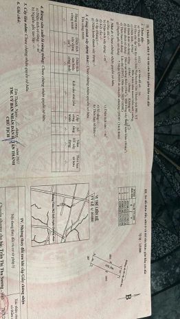 Chính chủ cho thuê 2 mặt bằng đất trống  xã châu pha,huyện 7746756