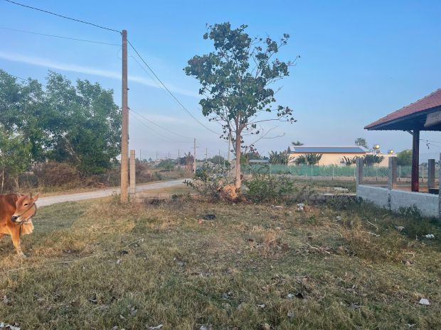 Bán 12m đất odt 2 mặt đường hẻm đinh bộ lĩnh - phước hội - 7747264