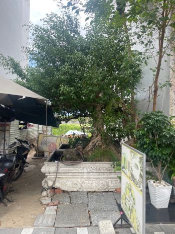 Giảm 1 tỷ! bán đất mặt tiền phạm văn đồng 125m2, mặt tiền 7747301