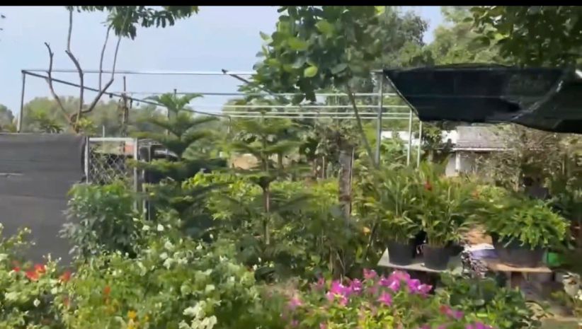 29 tỷ sở hữu đất mặt tiền vũng tàu gần 1000m2 số hồng riêng 7748343