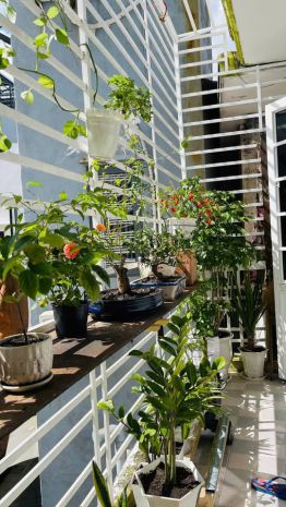 Nhà 40m ra mặt tiền phạm văn nghị, chợ tân lập, 2 tầng 7748359