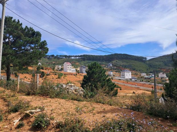 Bán đất lớn lang biang 53,000 m2 7749346