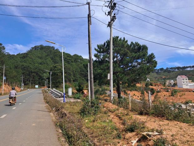 Bán đất lớn lang biang 53,000 m2 7749347