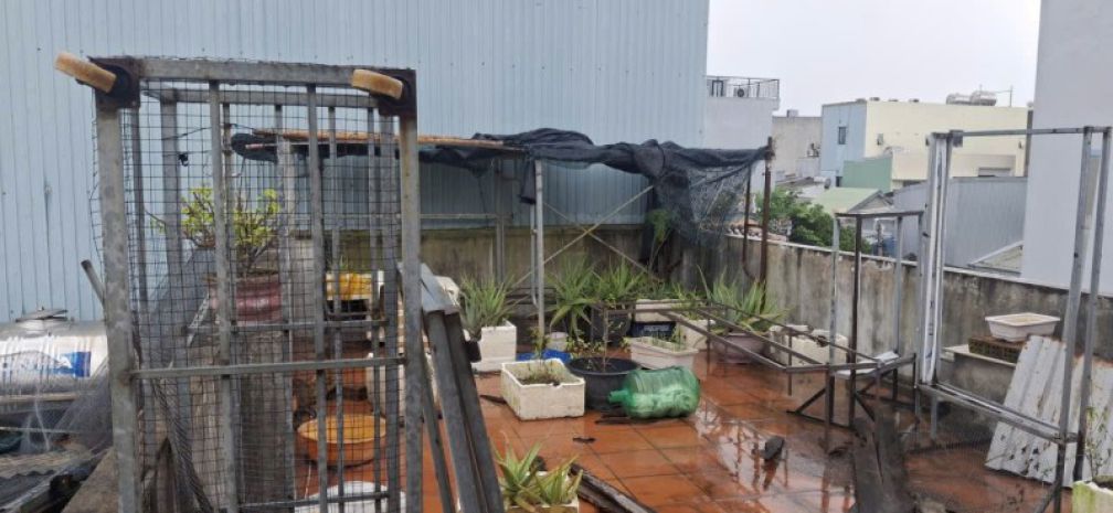Mt kinh doanh trần xuân lê, lô góc, 65m2, 3 tầng, 6.1 tỷ 7750953