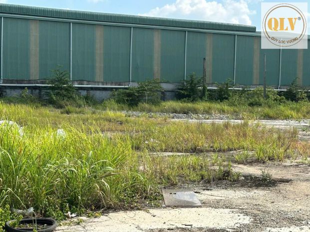 Cho thuê mặt bằng  đất trống 8.500m² mặt tiền đt741, bến cá 7751840