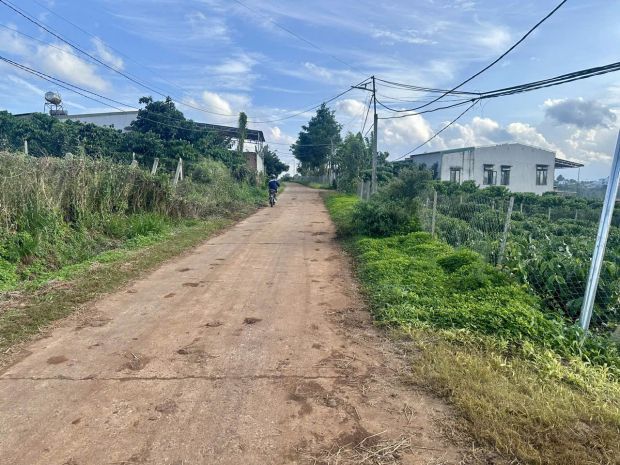 02 lô đất đẹp ngay trung tâm xã phúc thọ  tổng gần 1,5 ha 7752386