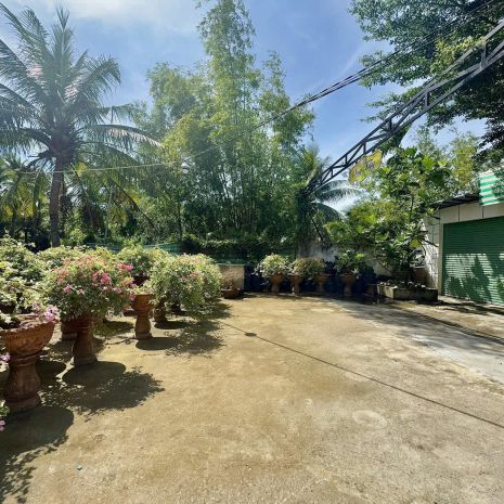 Bán đất và nhà xã phú hưng, thành phố bến tre, bến tre 7753430
