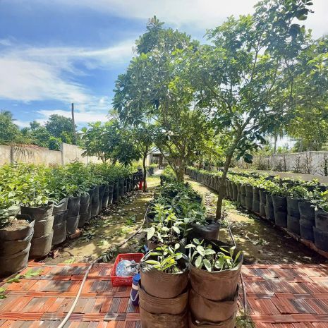 Bán đất và nhà xã phú hưng, thành phố bến tre, bến tre 7753431