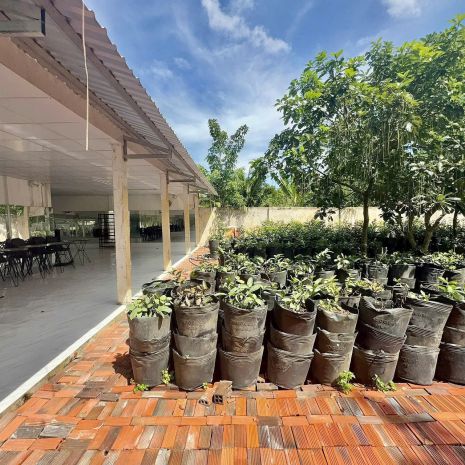 Bán đất và nhà xã phú hưng, thành phố bến tre, bến tre 7753432