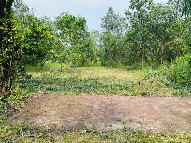 Cần bán lô đất 100m² tại xã an viễn  tp. đồng nai 7753671