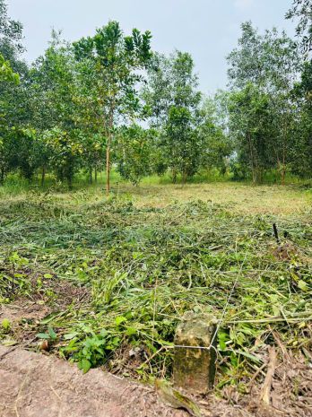 Cần bán lô đất 100m² tại xã an viễn  tp. đồng nai 7753672
