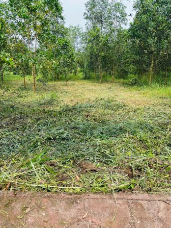 Cần bán lô đất 100m² tại xã an viễn  tp. đồng nai 7753673