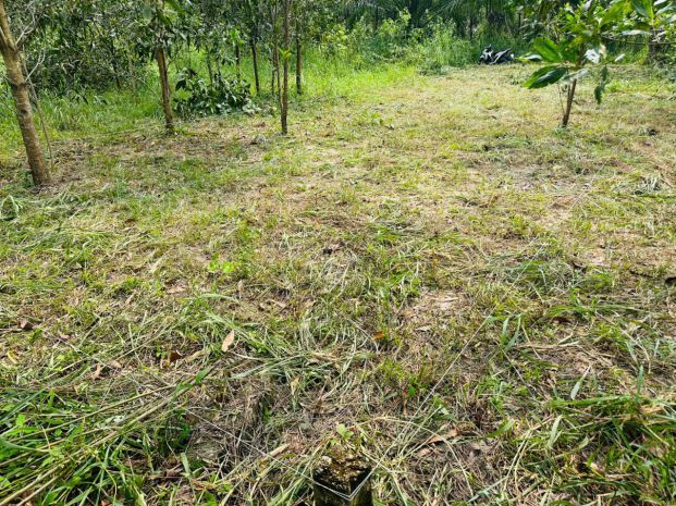 Cần bán lô đất 100m² tại xã an viễn  tp. đồng nai 7753674