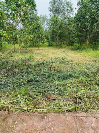Chính chủ bán đất 100m² full thổ cư  giá 1,6 tỷ  xã an 7753690