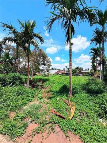 Đất đẹp  giá tốt - cần bán nhanh 2 lô đất mặt tiền tại xã 7754633
