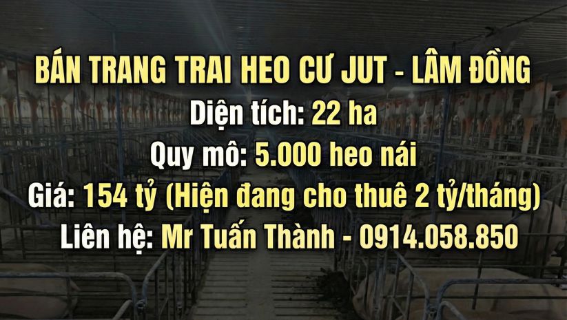 Trại heo 22ha lãi ngay 2 tỷtháng 7759724
