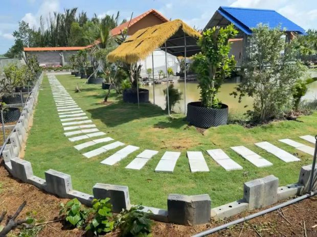 Nhà vườn mái ngói ven sông vàm cỏ tây  sở hữu hơn 1.600m² 7760759