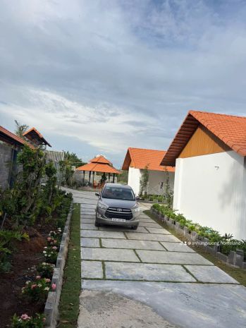 Nhà vườn mái ngói ven sông vàm cỏ tây  sở hữu hơn 1.600m² 7760761