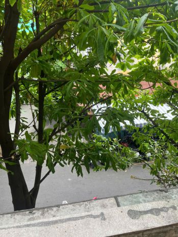 Chính chủ cần bán căn hộ chung cư lầu 1 ngay mthẻm trần 7764942