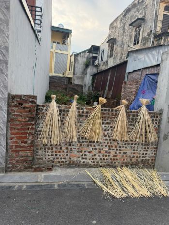 Bán đất thái bình - mai lâm- đông anh- ô tô tránh- hàng xóm 7765276
