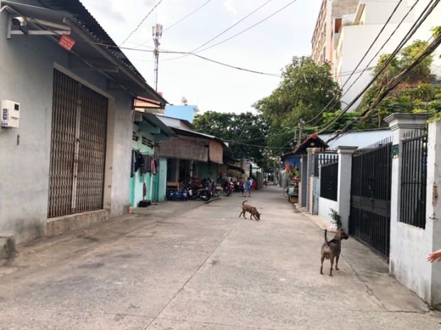 Bán nhà trương chinh q12  10 x16  3 tầng hxh có dòng tiền 7765843