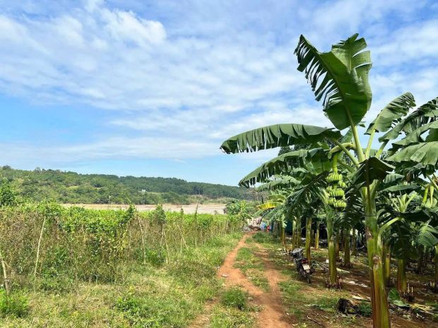 Chủ xuất cảnh cần ra nhanh đất 7.000m2 giá 1,2 tỷ - giáp 7768426