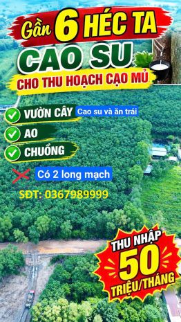 Đất đẹp  giá tốt  cần bán 52.918 m² mẫu long nguyên, xã 7769384