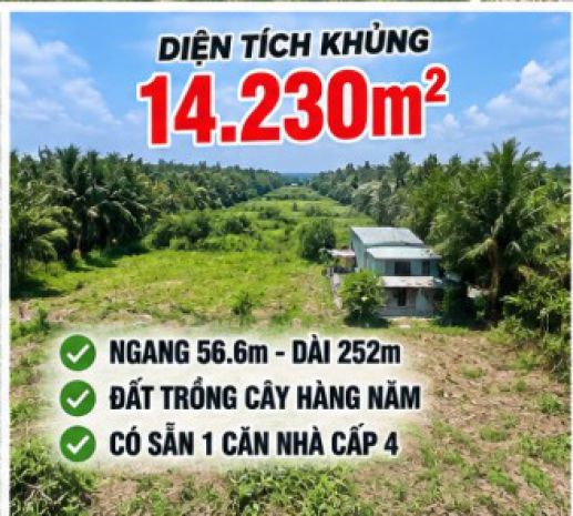 Tại sao nhà đầu tư đất ven đô nên xem kỹ lô 14.230m² này ở 7774722