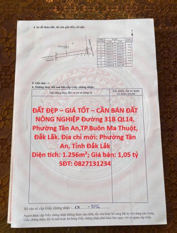 Đất đẹp  giá tốt  cần bán đất nông nghiệp đường 31b ql14, 7777461