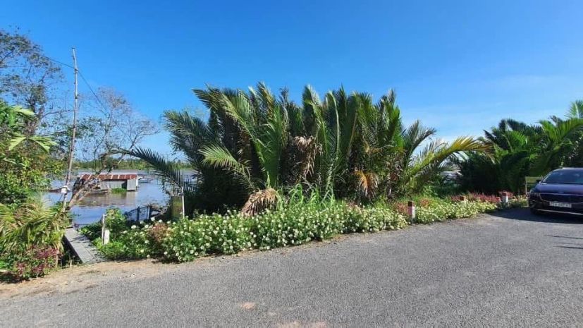 Bán đất mặt tiền sông tiền  vị trí đẹp, lý tưởng làm nhà 7783894