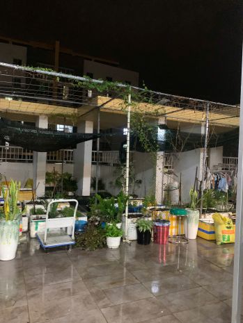 Bán căn hộ sân vườn 3pn chung cư belleza phạm hữu lầu, tân 7785206