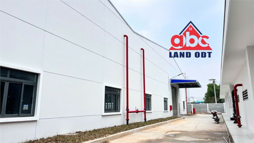 Xt249 cho thuê nhà xưởng sản xuất hạ tầng hiện đại thu hút 7789812