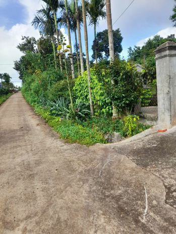 Đầu tư sinh lời  cần bán đất thổ cư, tổ dân phố bình minh, 7790346